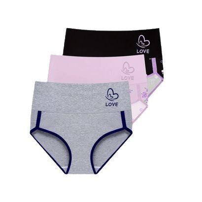 Cross-border Europe and the United States plus size 4 pairs of underwear stitching fashion hip briefs TK Xiyin foreign trade wholesale women's underwear